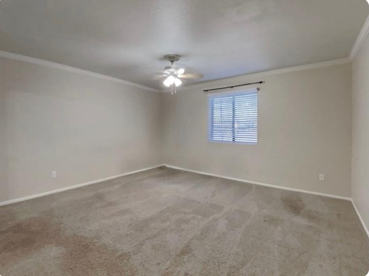 2 Bed 2 Bath Unit in Phoenix, AZ-9